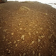 An image demonstrating the hi-res capability of Ingenuity’s camera.